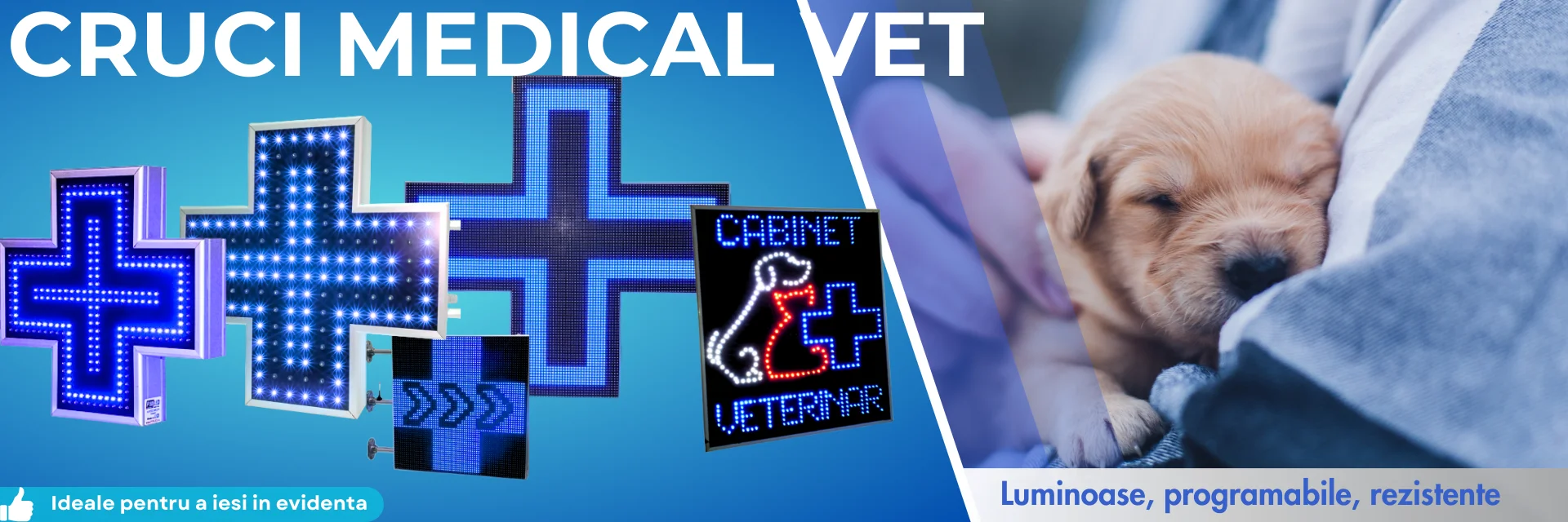 vet_cruce_led_exterior_albastru_veterinar_reclama