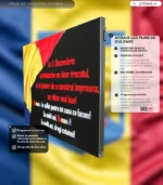 afisaj led primarie panou informativ